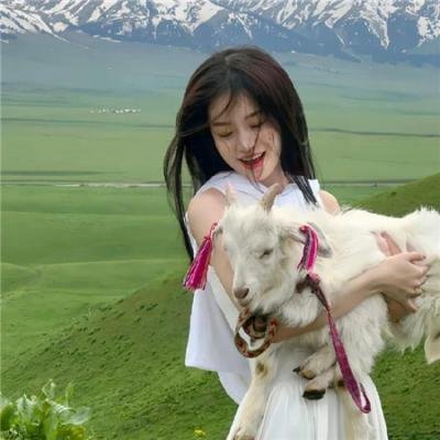 狂舞纽约